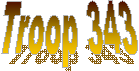 Troop 343